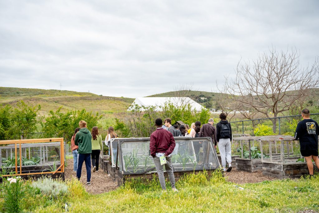 Featured photo for SEEd Garden Open House