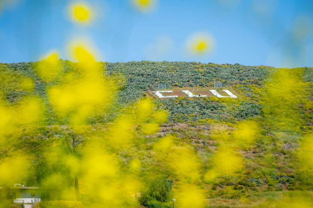 Featured photo for Hike to the CLU Rocks